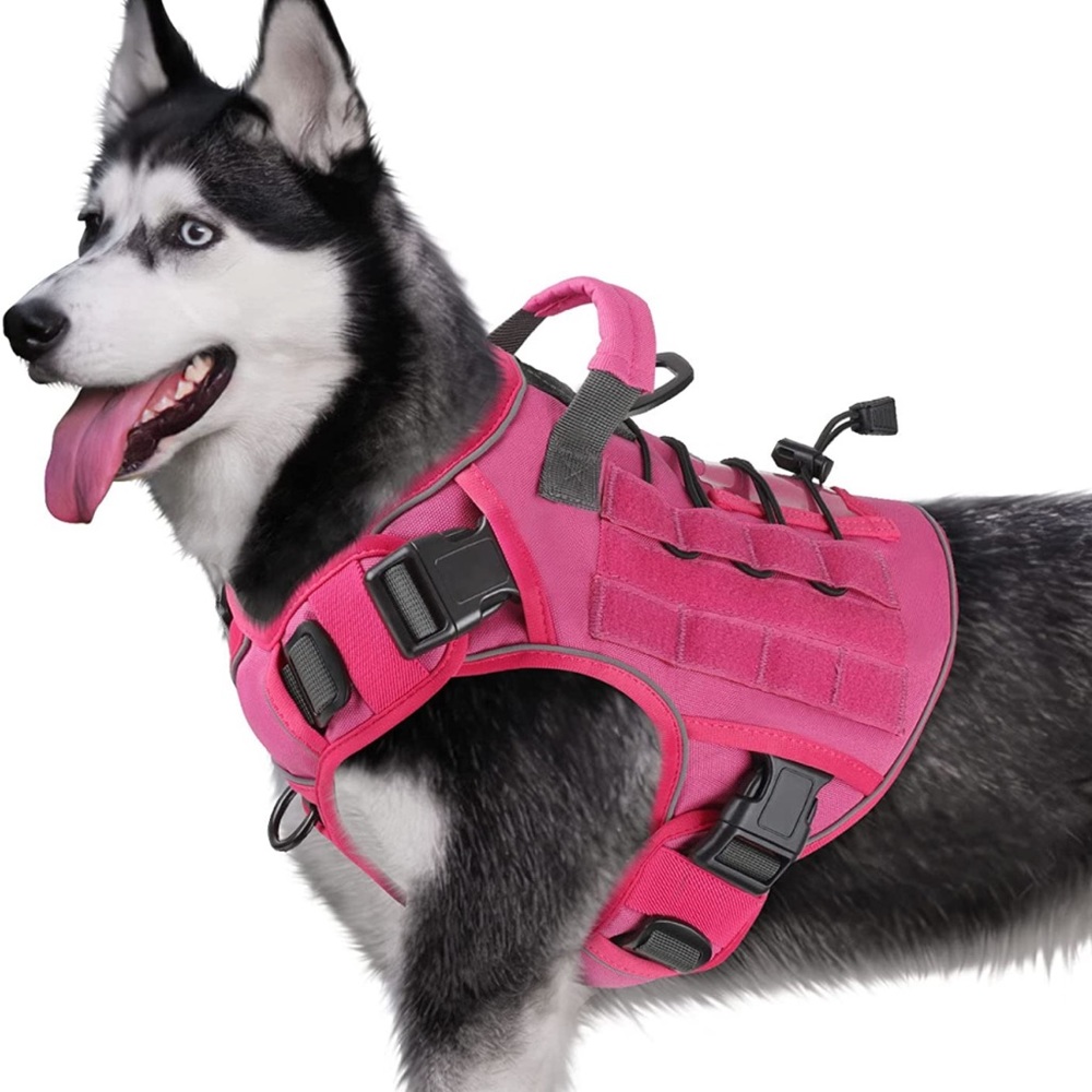 Brand new dog harness